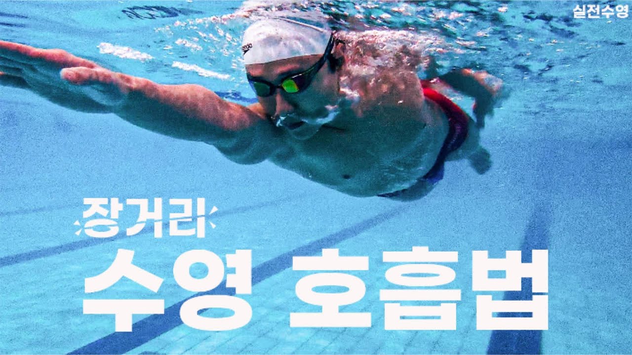 자유형 10바퀴✨️ 바로 성공하는 법!🔥 현직 수영강사🏊‍♂️ 비법 공개🤫! #실전수영 #장거리수영 #자유형 #수영호흡 #swimming #freestyleswimming