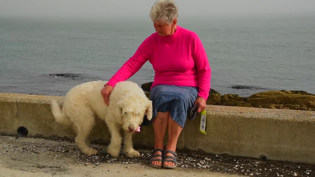 Sue Ryder Ireland Residences