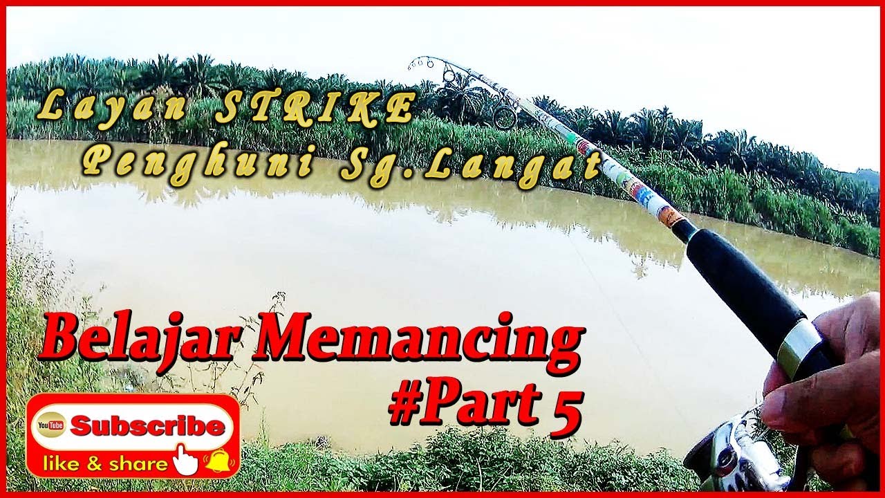 Belajar Memancing PART5 (Layan Strike Penghuni Sungai Langat)