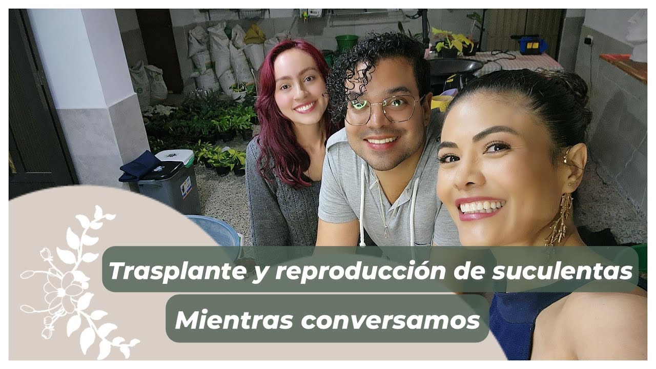 🤣ENTRE RISAS Y ANÉCDOTAS🥰, TRASPLANTANDO Y REPRODUCIENDO SUCULENTAS👩‍🌾🎍