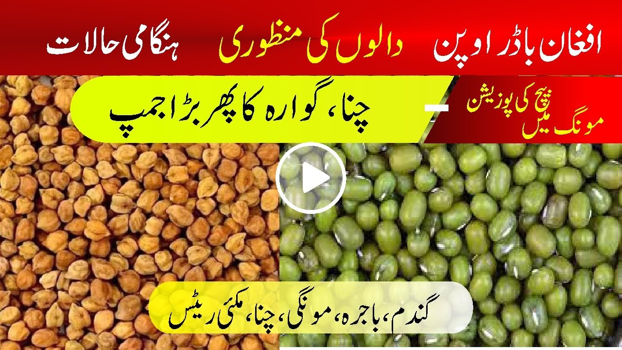 Moong daal to Afghanistan next week l chana rate today l Guara up once again l Bashir Sandhila