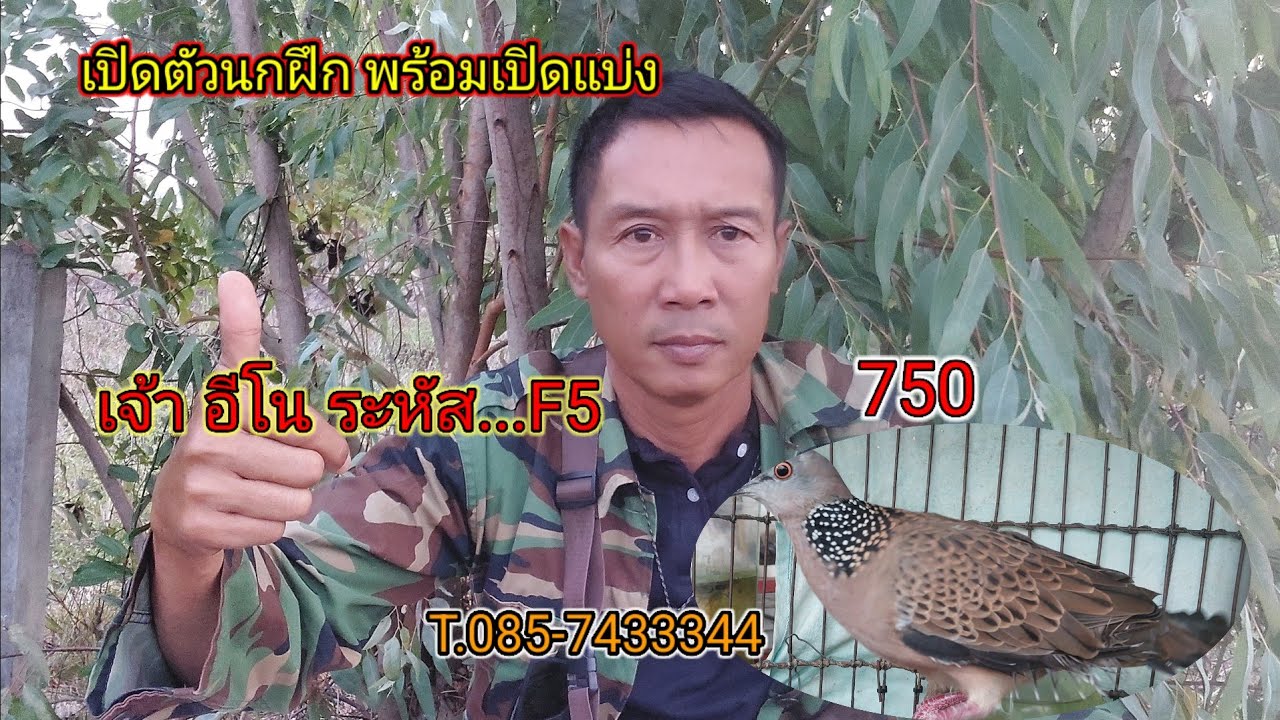 เปิดตัวนกฝึก พร้อมเปิดแบ่ง เจ้าอีโน ระหัส F5 พารา 750 มรส T.085-7433344 