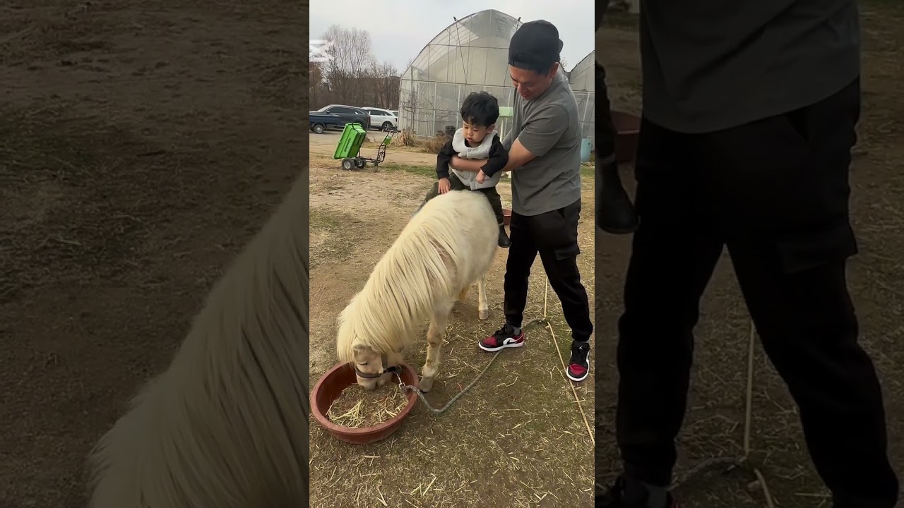 MINI ZOO in (PAJU CITY KOREA)