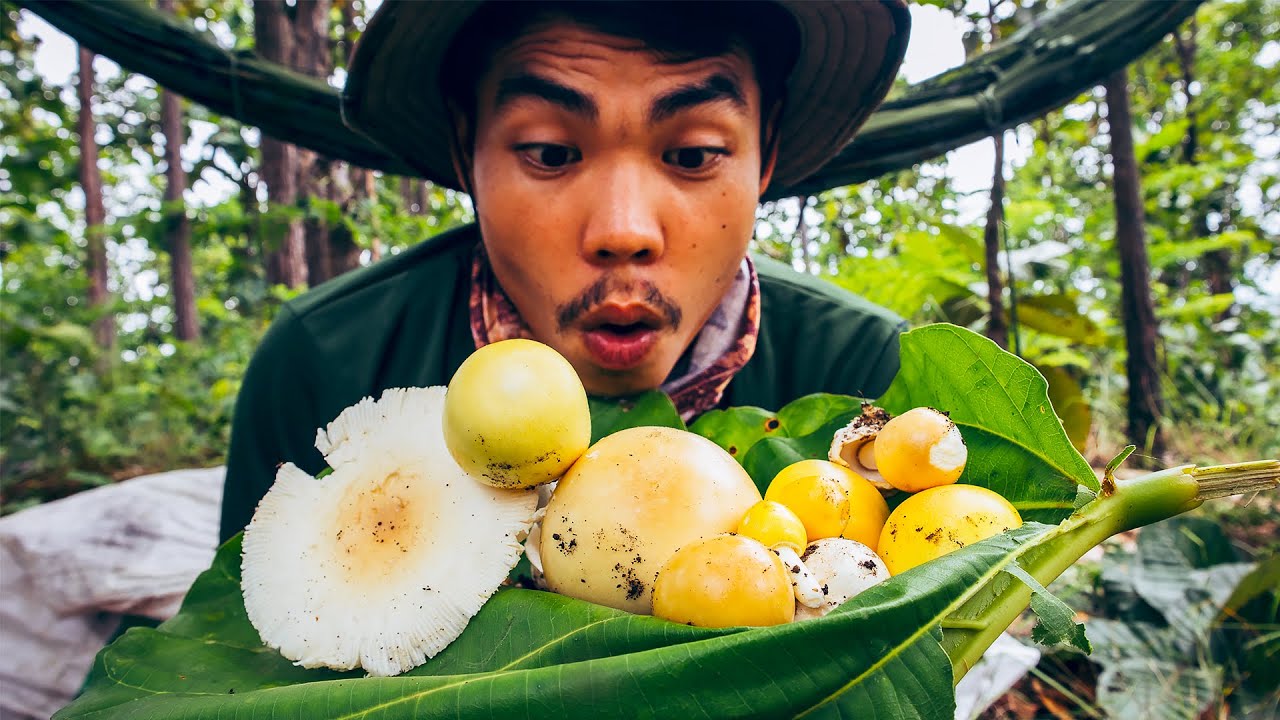 เห็ดระโงกออกใหม่!! เดินขึ้นเขาเก็บเห็ด และทำแกงกินบนสันเขา