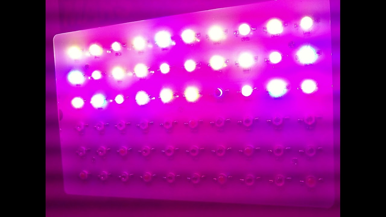 Mars Hydro 300 Review