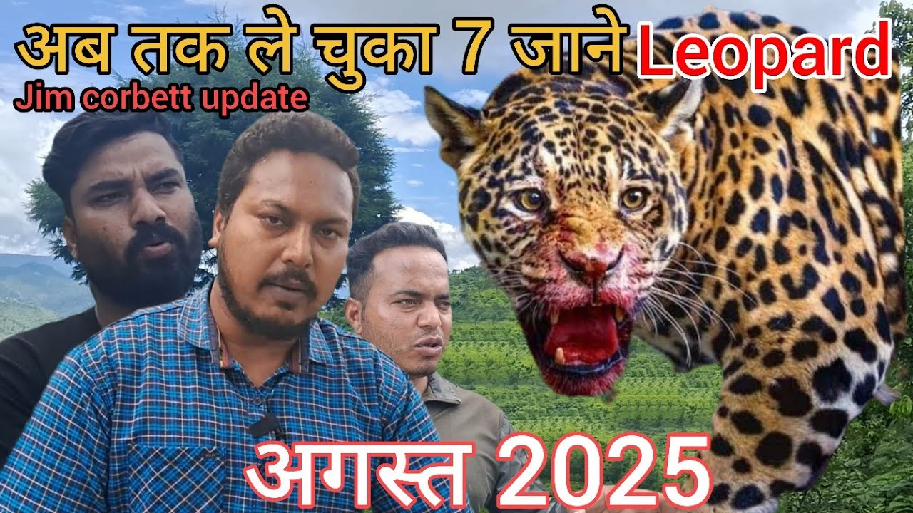 Leopard attack, Has taken 7 lives so far, Now the forest department is protecting the villagers 24×7