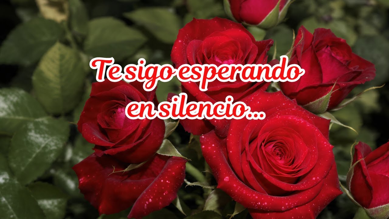 ♠ 💘 Carta de amor para ti, mi amor lo nuestro no terminó, solo espera #CartaDeAmor #amor