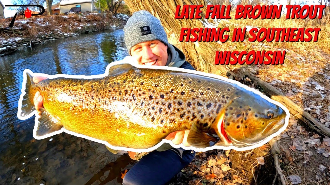 Late Fall Brown Trout Fishing Southeast Wisconsin