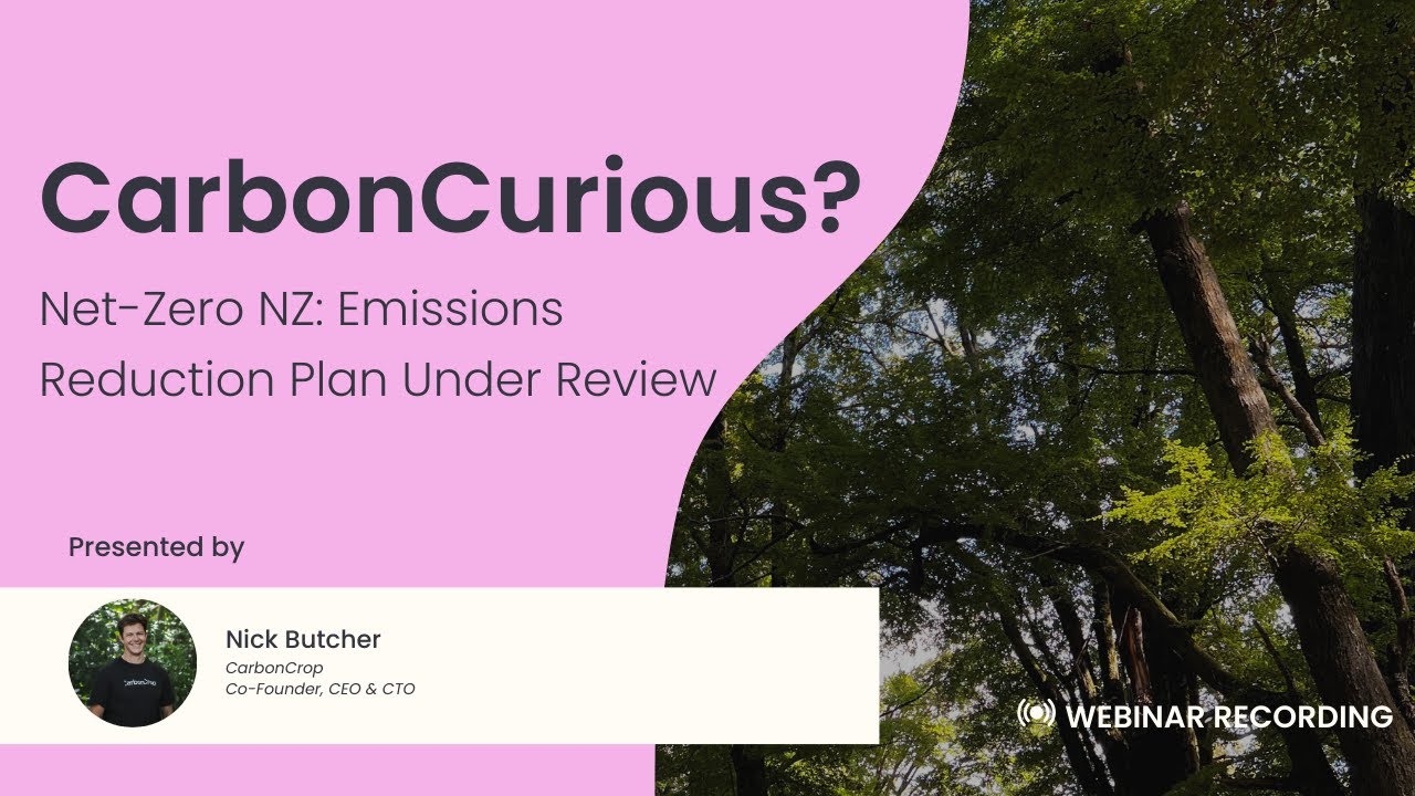 CarbonCurious | Net Zero NZ: Emissions reduction plan under review