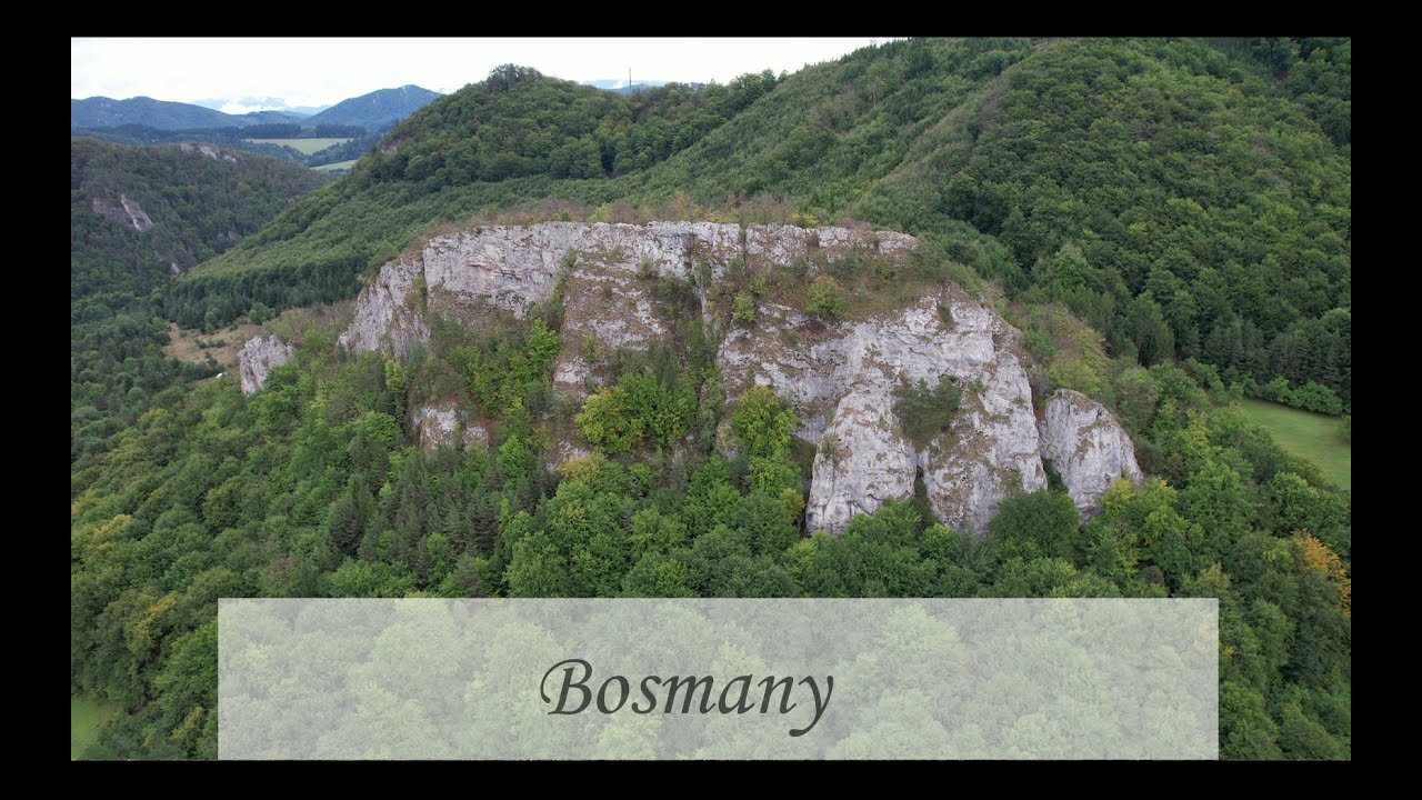 Bosmany