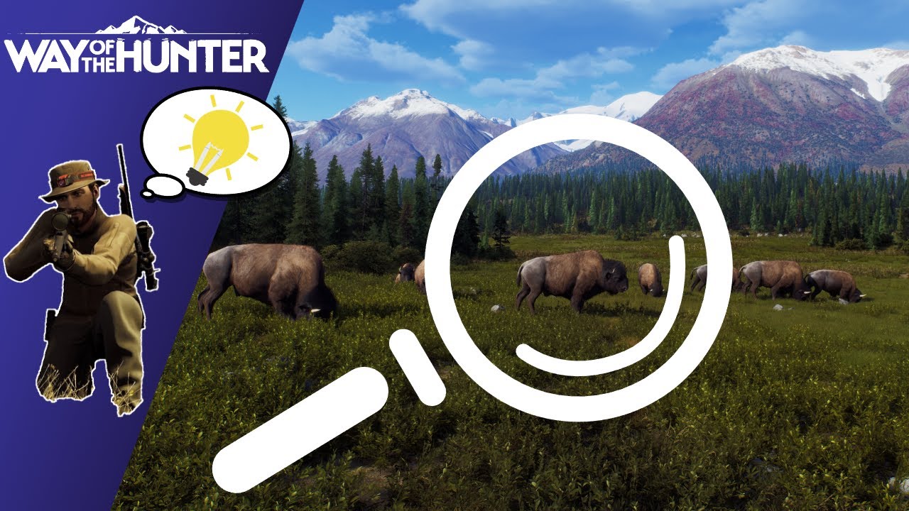 Wie finde ich Tiere? | Tutorial für Way of the Hunter