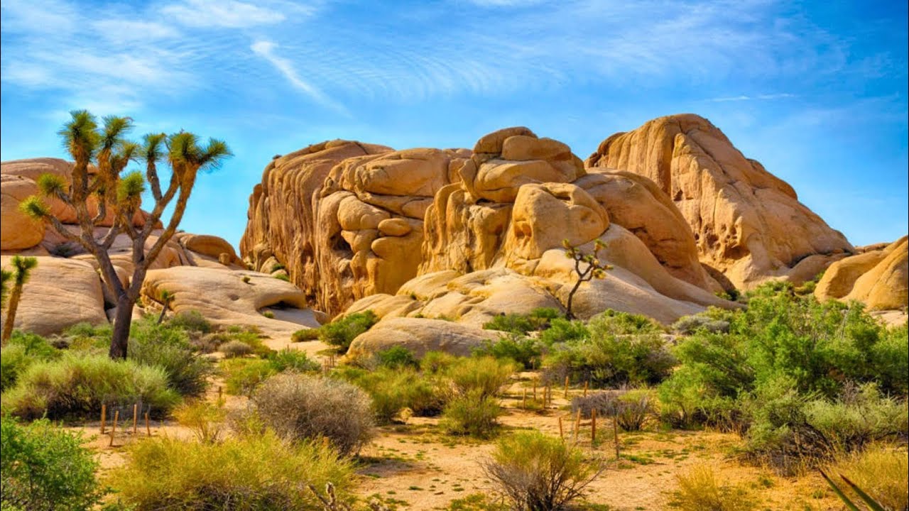 Joshua Tree National Park California 🇺🇸 | Desert Adventure, Hiking & Stargazing 