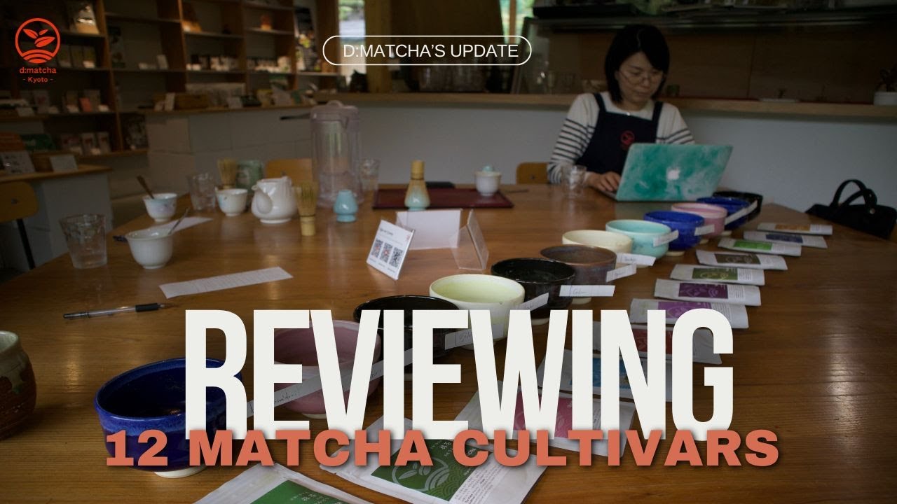 REVIEWING 12 MATCHA CULTIVARS
