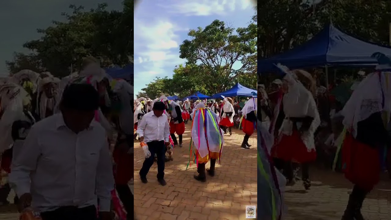 Machu Tusuj: el baile que mantiene viva la identidad de Apolo #apolo #fiestapatronal #tradiciones .