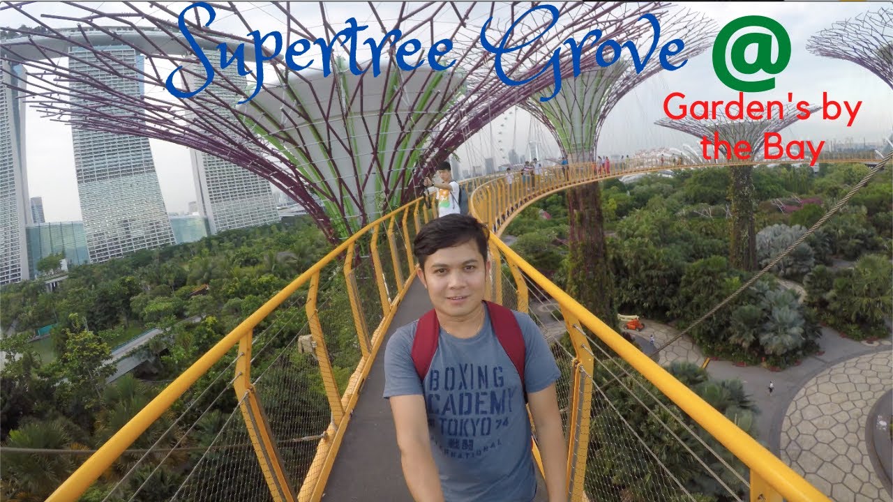 SuperTree Grove @ Garden's by the bay I SINGAPORE
