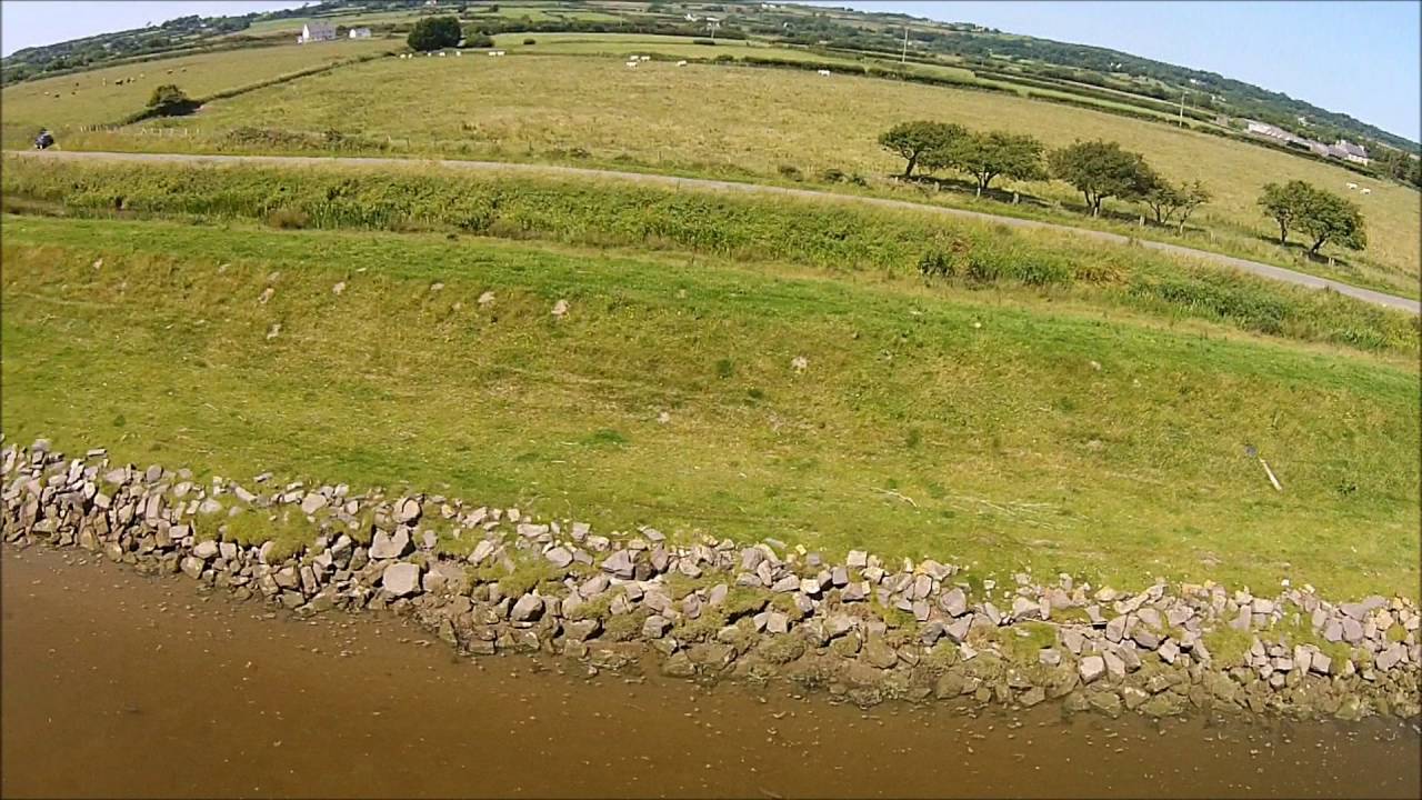 Fish in the Cefni