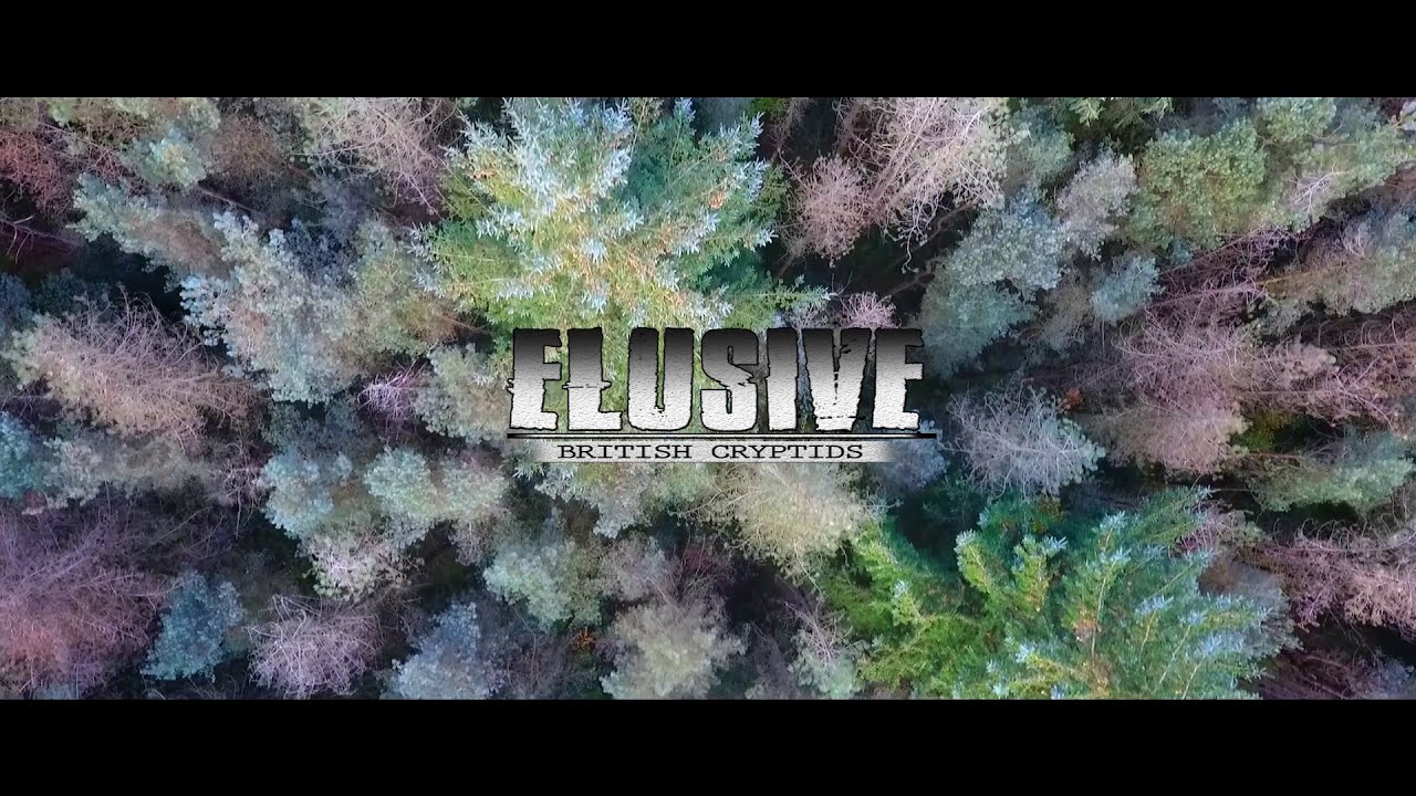 Elusive film teaser - Fell Wanderer the Wild Camper