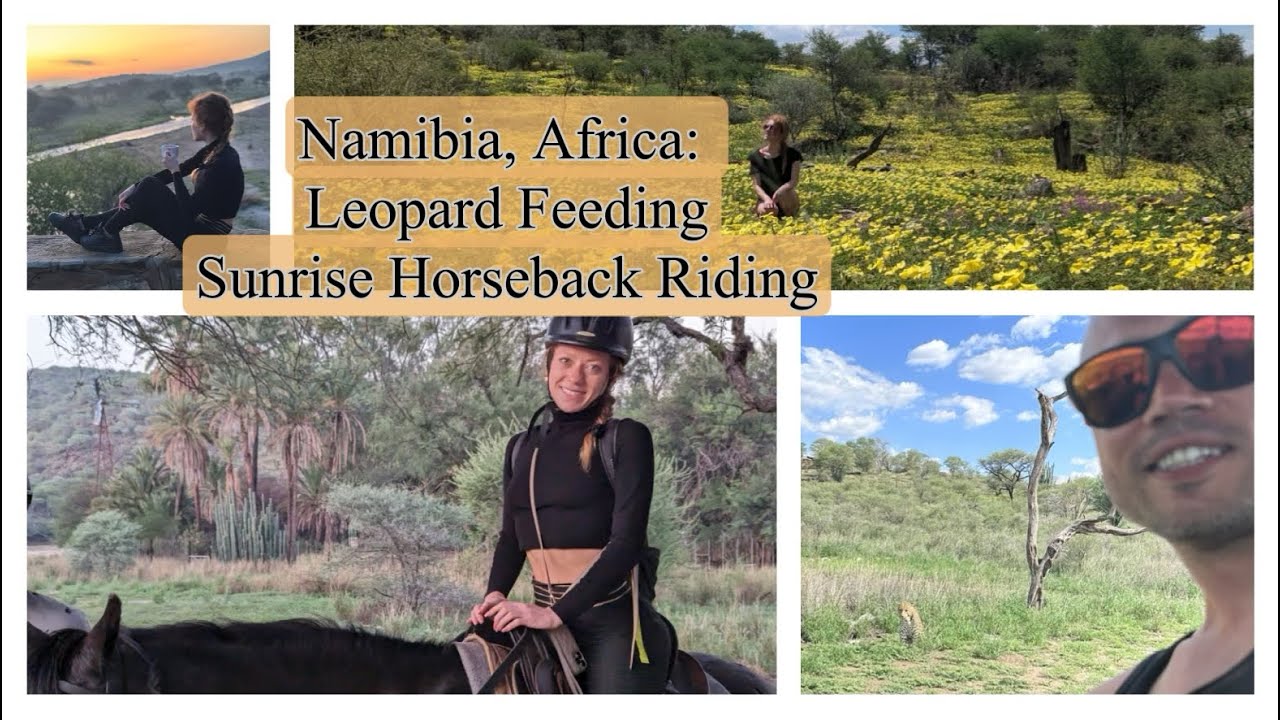 🇳🇦Duesternbrook Guest Farm, Namibia: Leopard Feeding, Sunrise Horse-riding, Wildlife & Hiking🇳🇦