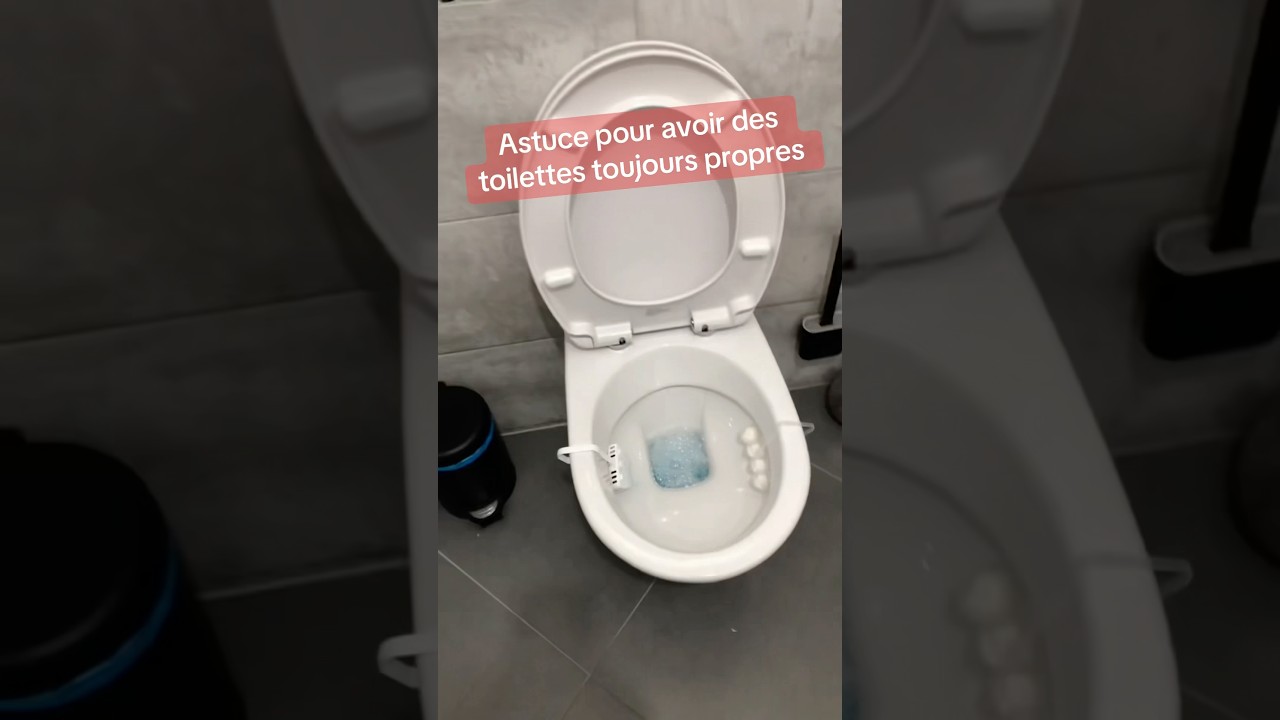 Astuce pour avoir des toilettes toujours propres #astuce #wc #toilette #propre #propret&eacute; #nettoyage