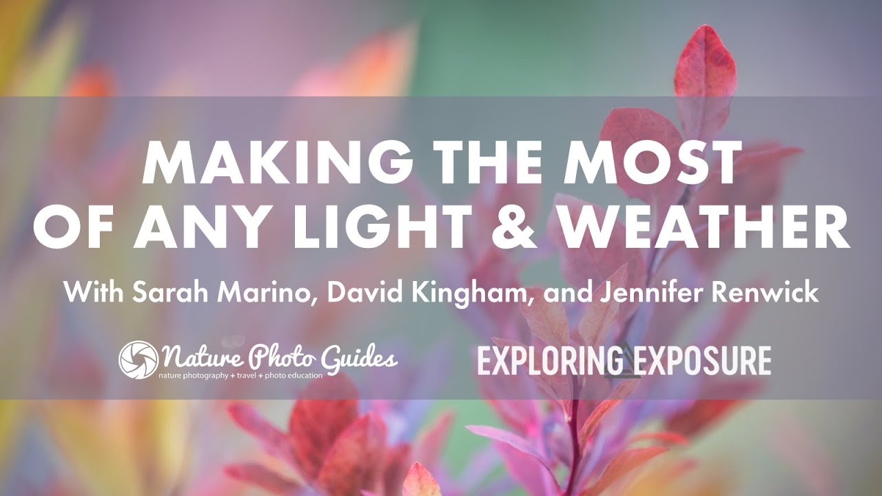 Making the Most of Any Weather & Light Webinar with Sarah Marino, David Kingham, Jennifer Renwick