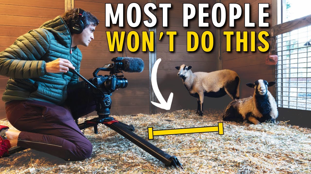 How To Film Animals Like BBC&rsquo;s Planet Earth (9 SURPRISING STRATEGIES)