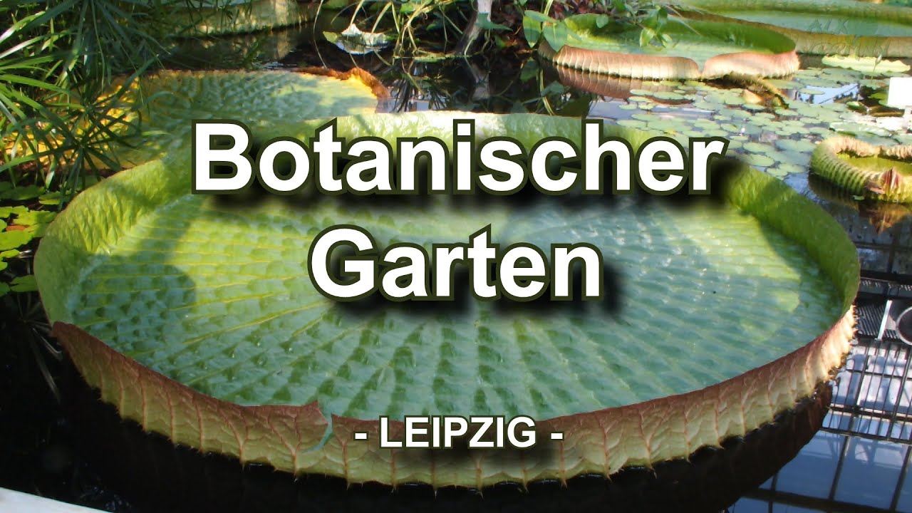 Botanischer Garten - Leipzig