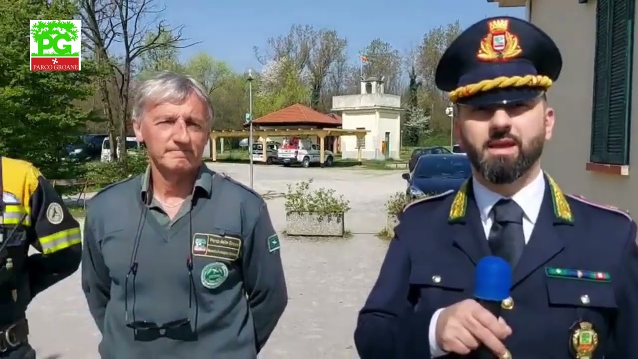 Avvistato un lupo nel territorio del Parco delle Groane, non accadeva da cento anni