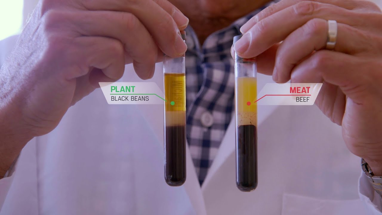 The Game Changers Meat vs Plants Experiment Excerpt