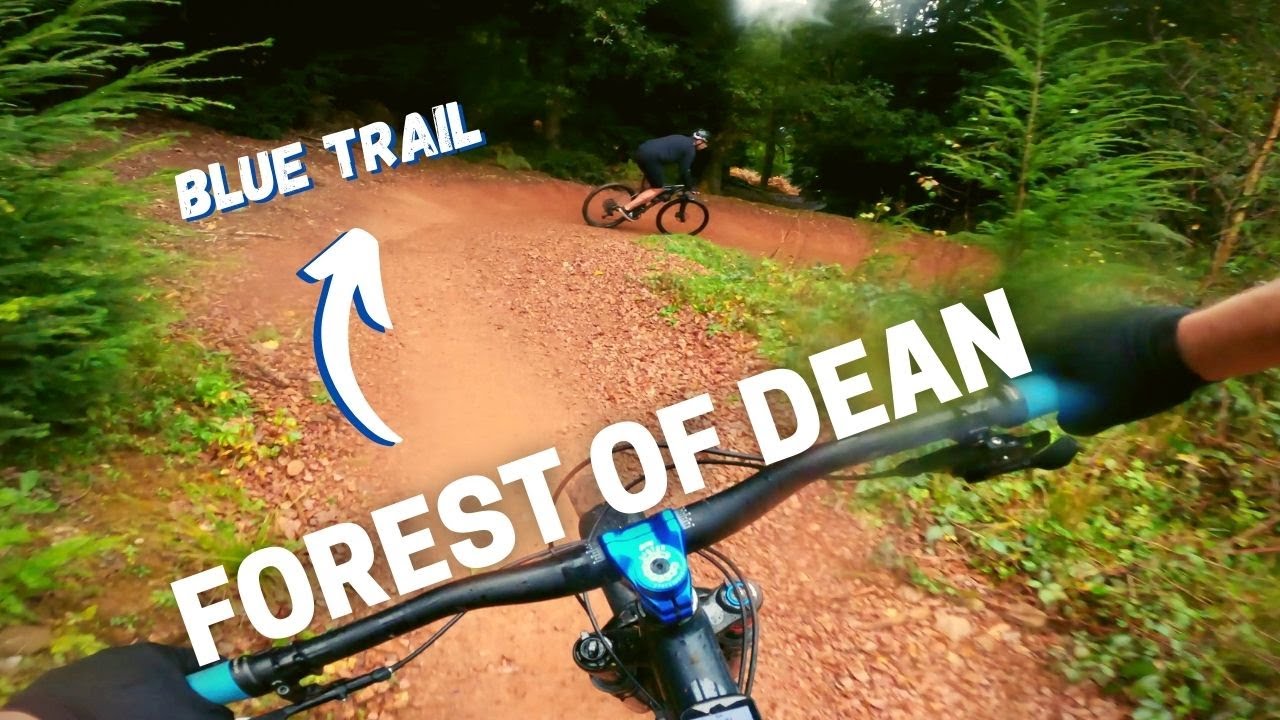 Best blue XC trail in the UK!  | MTB Forest of Dean