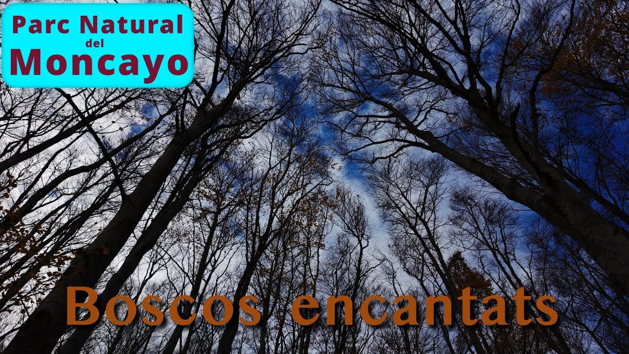 Parque Natural del Moncayo 4K