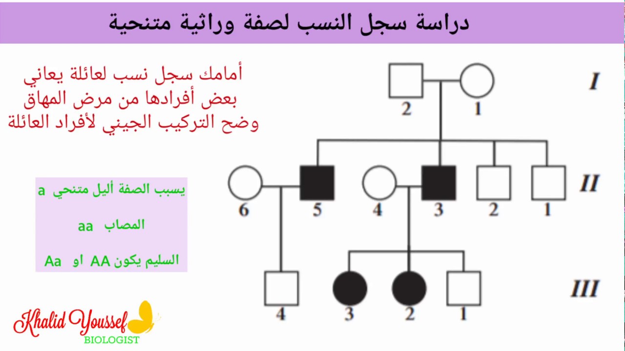 سجل النسب لصفة وراثية متنحية