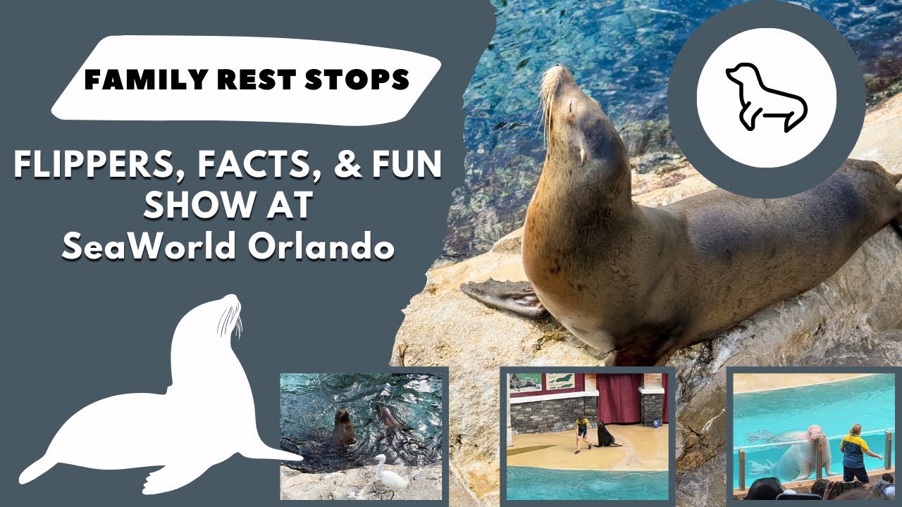SeaWorld Orlando Florida FULL LENGTH seal Lion Show