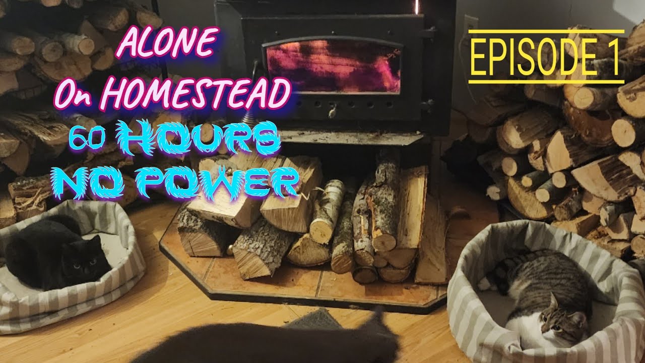 BLIZZARD! 60 Hour NO POWER with ANIMALS in WOODS | Homestead Vlog Ep.1