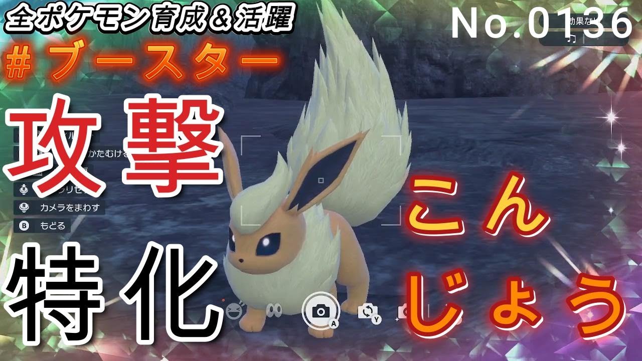 （全ポケ活躍、ブースター育成論）こんじょうでで攻撃力特化し、ワンパンしまくる！！