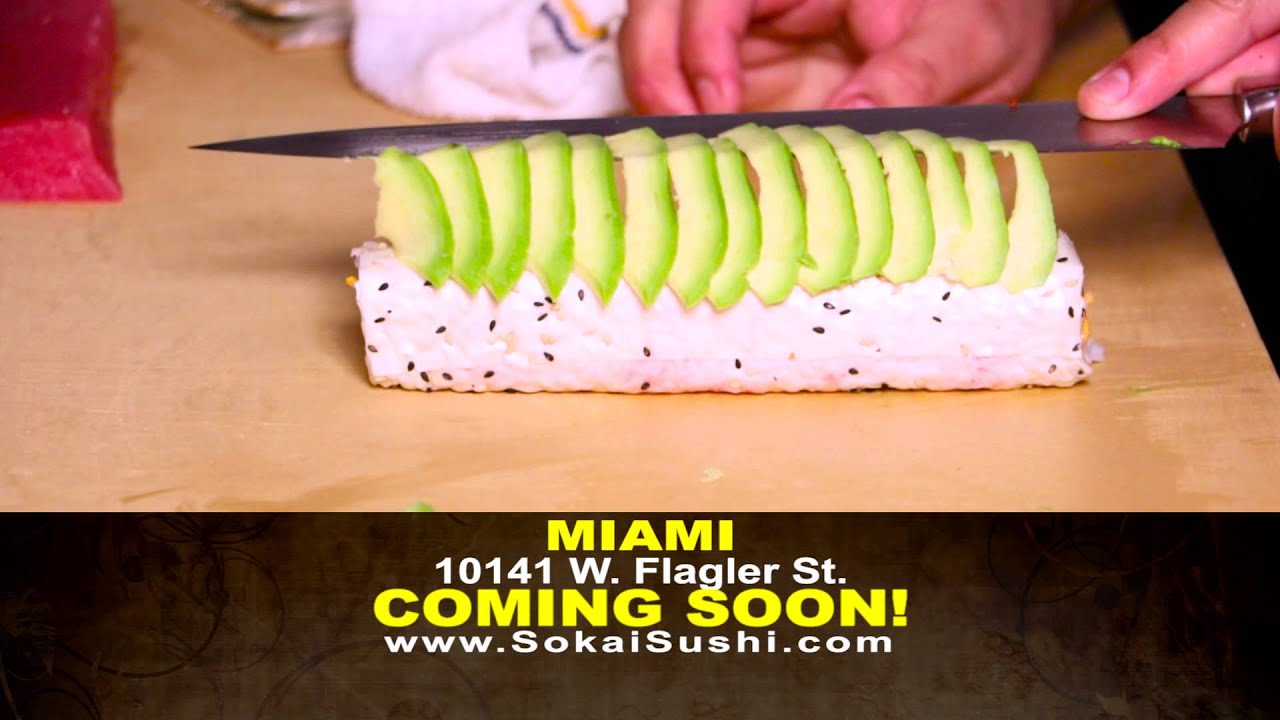 SOKAI 1