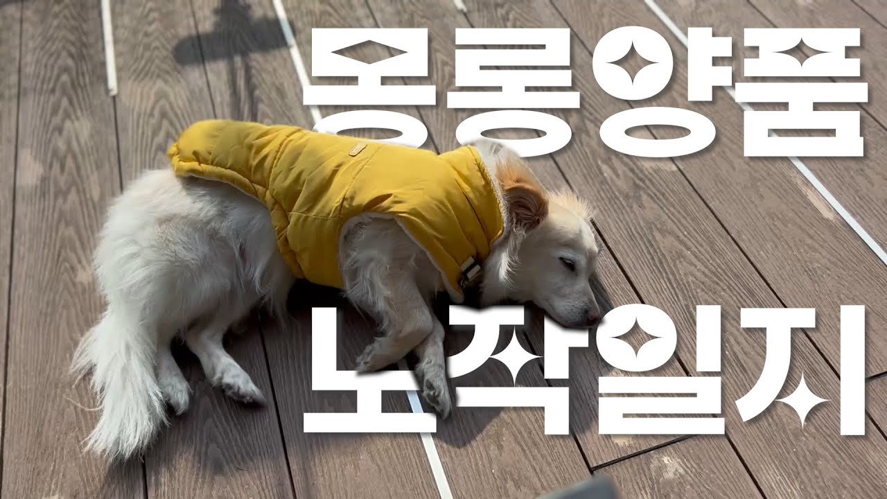몽롱양품 노작일지 | 2025년 1월 | 뜨개로그 | 소잉로그