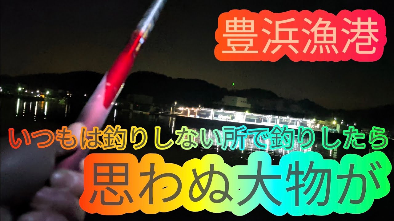 豊浜漁港のいつもは釣りしない所で釣りしてみたら…愛知県 知多半島 南知多 海釣り fishing 根魚 カサゴ 釣り桟橋 100均 DAISO ダイソー