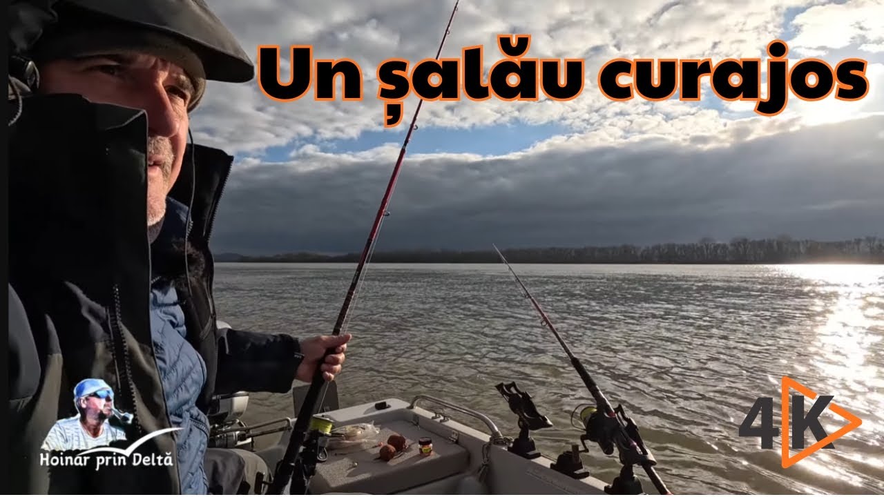 Hoinar prin Deltă | Un șalău curajos