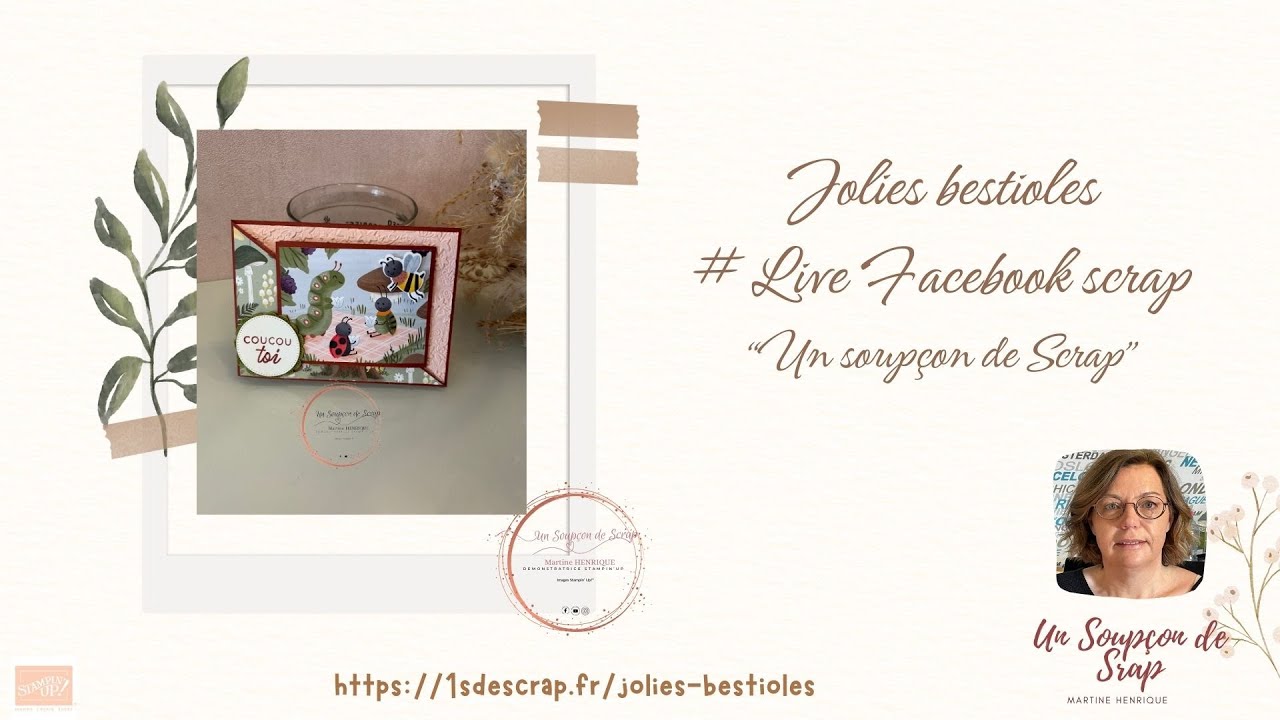 CARTE JOLIES BESTIOLES - tuto scrapbooking by Un soupçon de Scrap