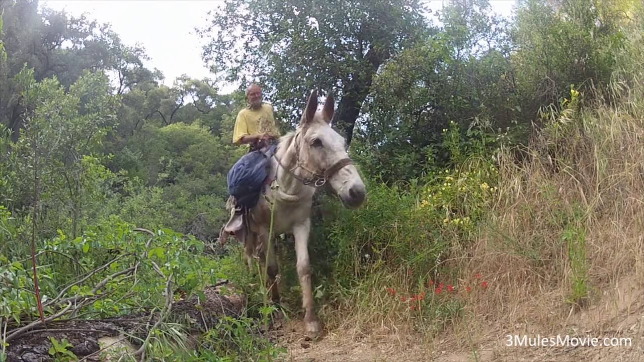 Deep in the Wilderness