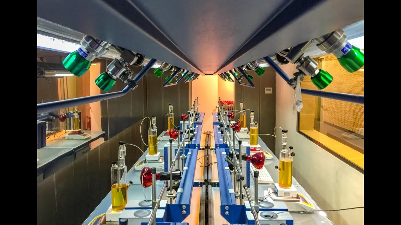 Viaggio nel futuro del vino: il “Centro Enosis Meraviglia” dell’enologo Donato Lanati e Dora Marchi