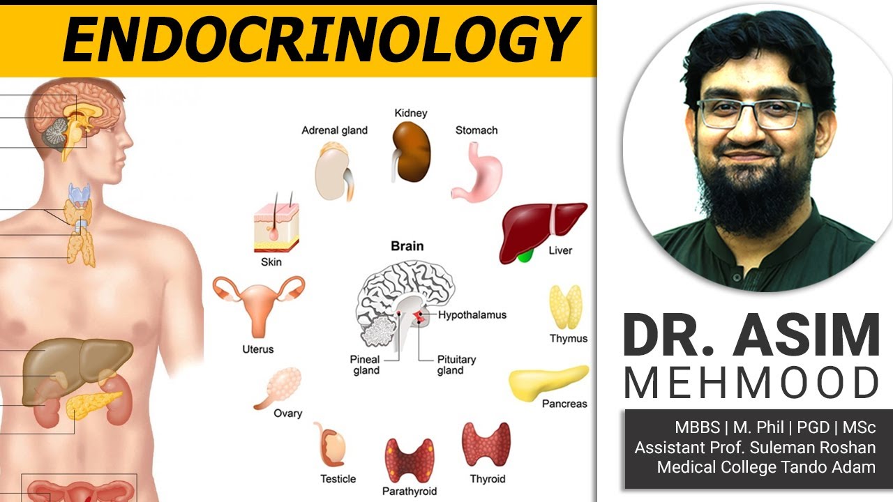 Endocrinology : Biology of Adrenal Gland | Hindi / Urdu