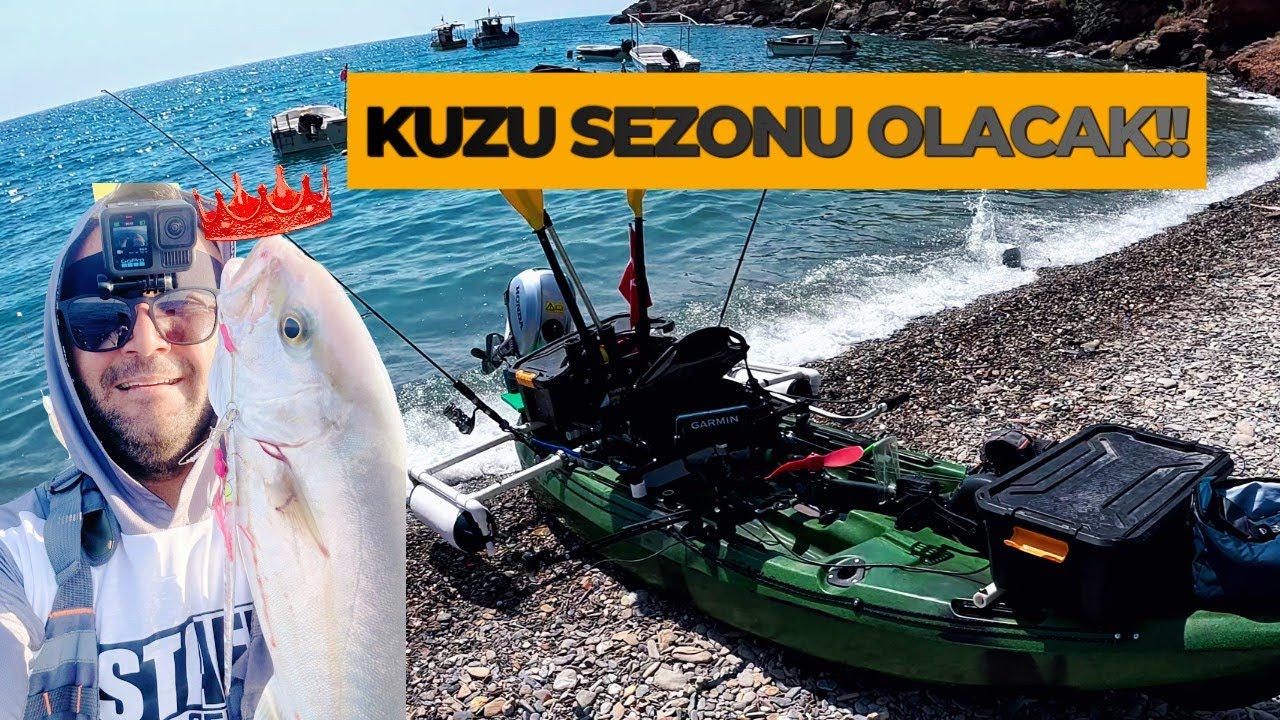Denizin Gizli Kralları: Peş Peşe Gelen 3 Kuzu/Amberjack...