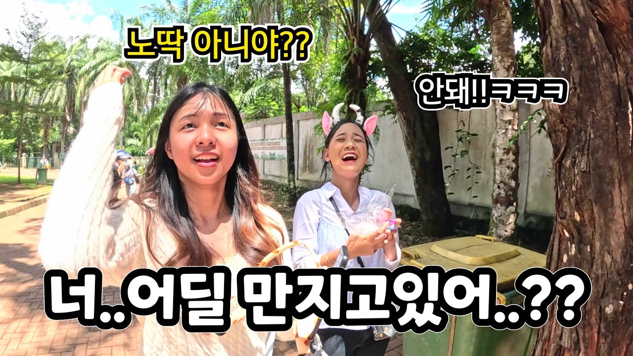 입장료가 400원?! 인도네시아의 동물원에서 노딱 받을뻔 했네요... (ft.수아가 어렸을 적 가보고 싶었던 곳!)