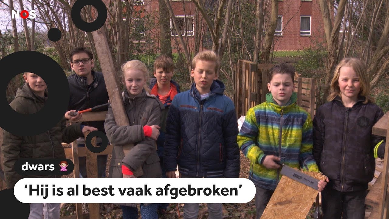 Dwars: Kinderen hebben ruzie over boomhut