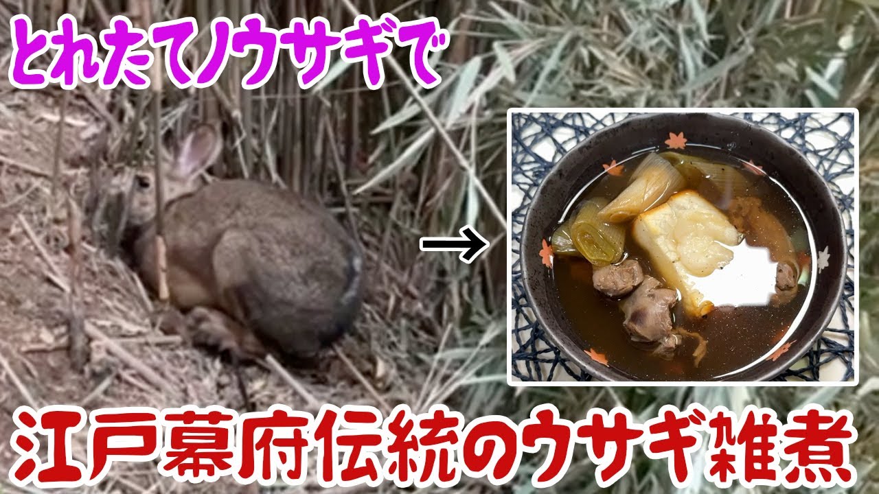 とれたてノウサギで江戸幕府伝統のウサギ雑煮