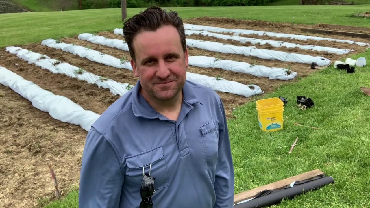 How to plant a garden through plastic