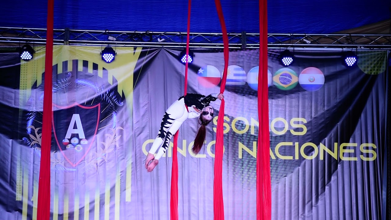 🌐 COREOGRAFIA DE ACROBACIAS EN TELA - Delfina Colacral – Detrás de Escena