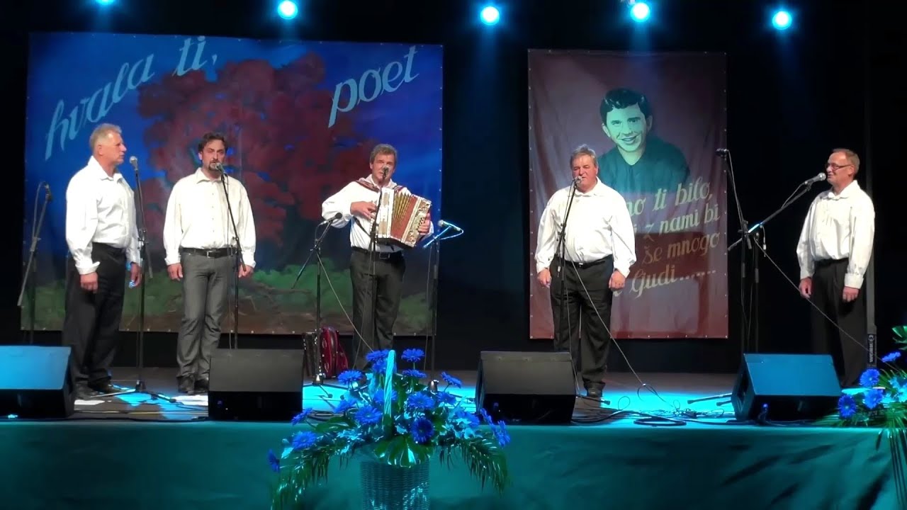 Tine Lesjak z Oplotničani - Kadar bom vandral 🙏 #glasba #Slovenija #narodnozabavna #Slovenia #music