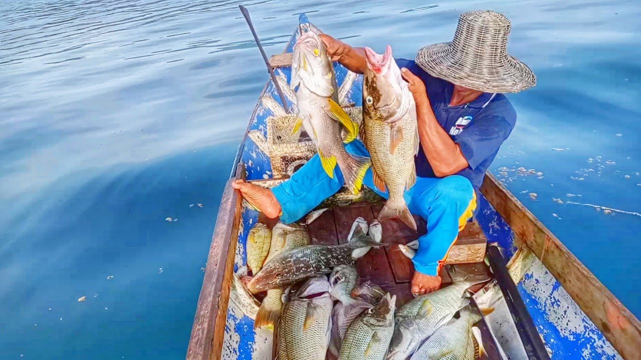 Merawai di atas karang dangkal strike berturut-turut ikan lausu || membuat aku kelelahan